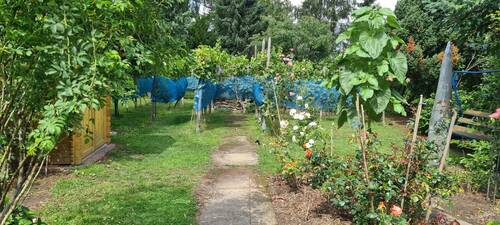 Ansicht 2 - Grundstück zum Kaufen in Berlin