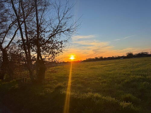 Bild 19 - 