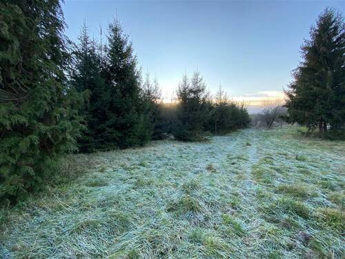 IMG-5889 - Baugrundstück in der nähe vom Thermalbädern.