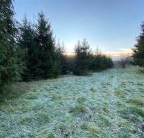 Baugrundstück in der nähe vom Thermalbädern. - Zalaszentlászló