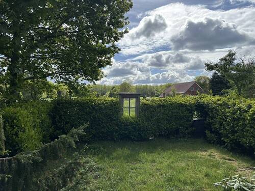 kleiner Gartenbereich - 