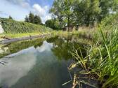 Teichansicht - 