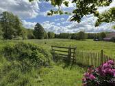 Wiese - 
