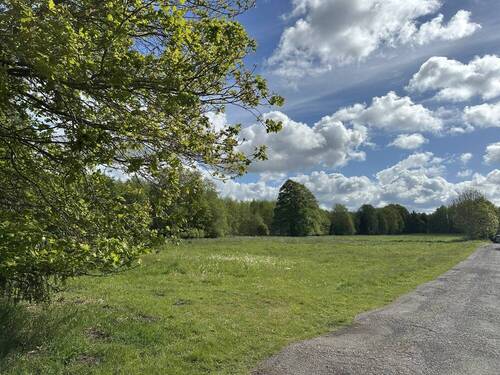 2. Wiesenansicht - 