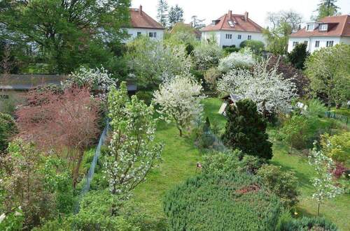 Gartenblick vom 1.OG - 