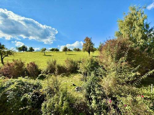 Ausblick III - 