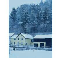 Wohnglück am Schambachufer - Ihr Naturnahes Refugium zwischen Ingolstadt und Riedenburg. - Altmannstein Neuenhinzenhausen