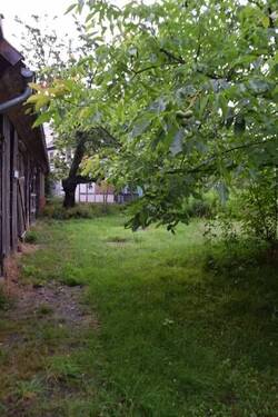 Entlang dem Holzschuppen - 