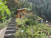 Zugang Gartenhütte - 