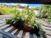 Gartenbereich grillen - 