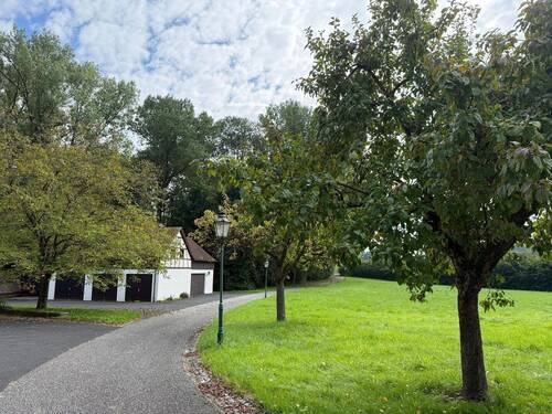 Zufahrt - Mehrfamilienhaus, Wohnhaus mit 336,00 m² in Münchsteinach zum Kaufen
