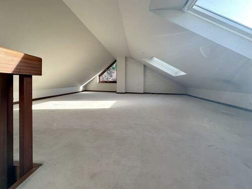Zimmer DG - 