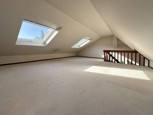 Zimmer DG - 