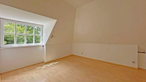 Zimmer DG - 