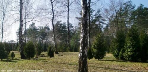 Grundstück Beispiel - 