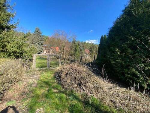 Bild 3 - Grundstück in Treuenbrietzen