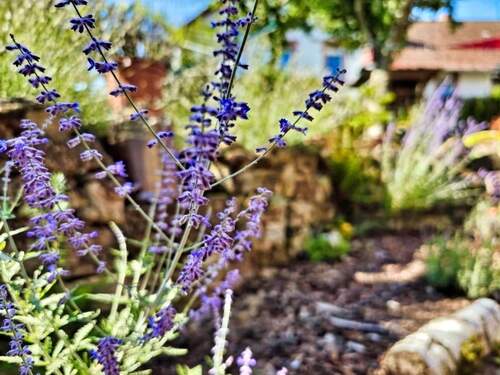 Impressionen - 1 Zimmer Reihenendhaus zum Kaufen in Odenbach