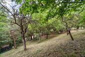 Artenreichtum in Flora und Fauna - 