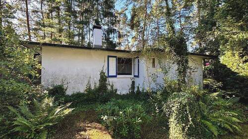 Seitenansicht - 