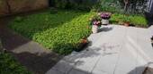 Terrasse mit Privatgarten - 2 Zimmer Etagenwohnung zur Miete in Düren