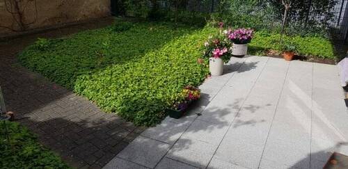 Terrasse mit Privatgarten - 2 Zimmer Etagenwohnung zur Miete in Düren