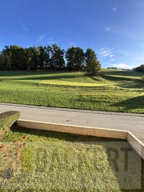 Ausblick vom EG - 