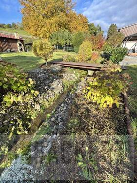Bachlauf - 