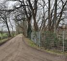 Grundstücksgrenze nach links - Grundstück zum Kaufen in Golzow