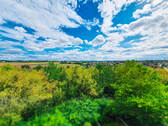 Bild 10 - 