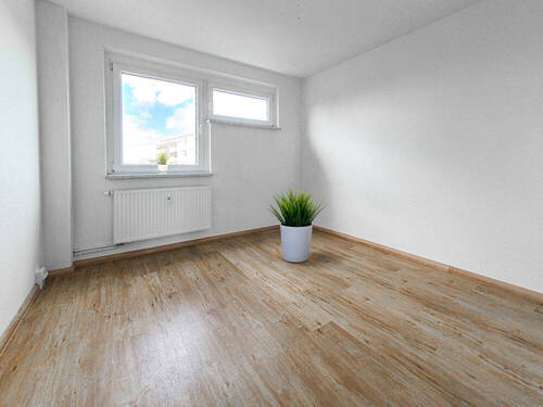 Bild 8 - 