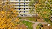 Garten 2 - 4 Zimmer Etagenwohnung in Frankenthal (Pfalz)