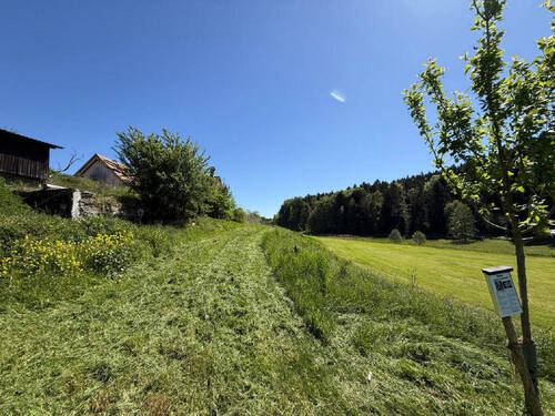 Bild11 - 