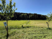 Bild14 - 