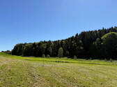Bild15 - 
