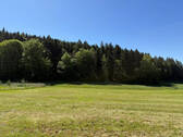 Bild16 - 