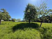 Bild17 - 