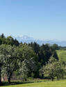 Bild19 - 