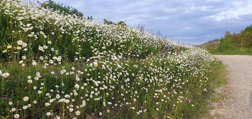 Bild23 - 