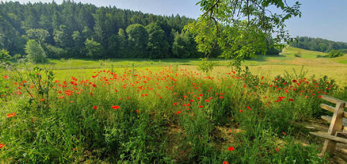 Bild24 - 