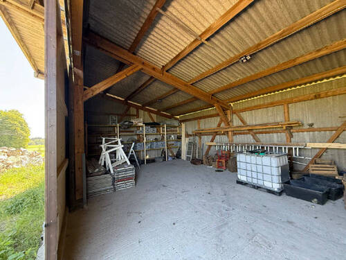 Bild7 - 