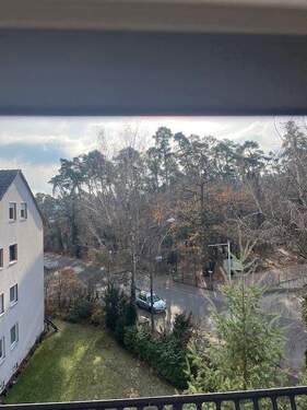 Zum Waldrand ca. 200 m - 