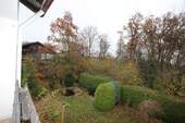 IMG_5566.JPG - 