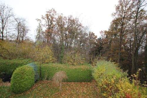 IMG_5567.JPG - 
