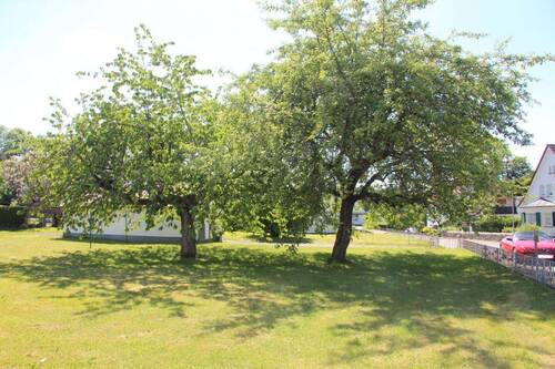 Bild 11 - 