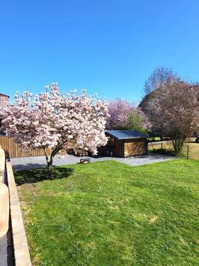Gartenimpressionen - 