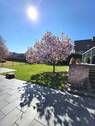 Gartenimpressionen - 