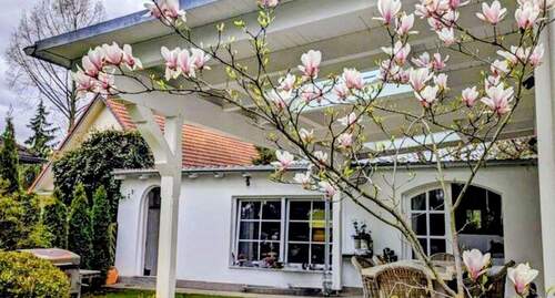 Garten und Terrasse - 