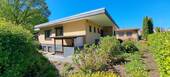 Blick vom Garten - 