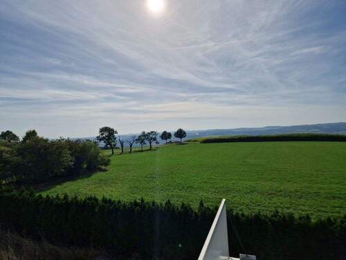 20231011_140318 - 5 Zimmer Reihenendhaus zum Kaufen in Dresden / Rockau