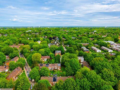 Ausblick - 